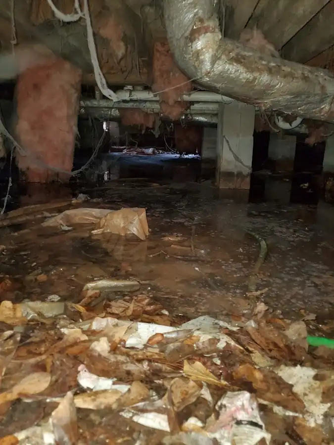 Crawl space flood assessment for Commercial Water Damage Restoration in Atlantic Beach