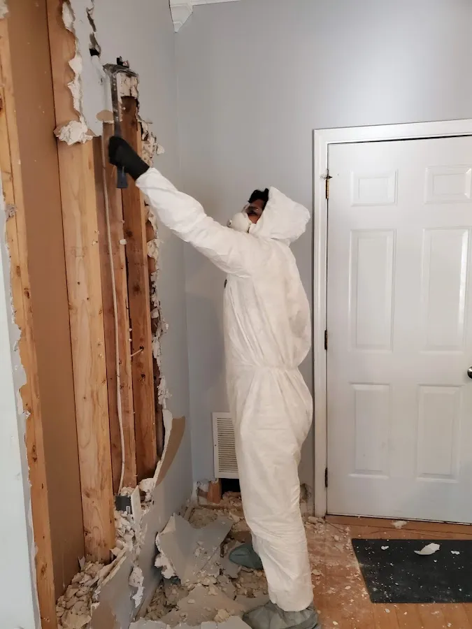 Mold Inspection & Testing in Atlantic Beach, FL